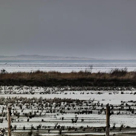 Ferienappartment Wangerooge - Insel Auf Dem Festland