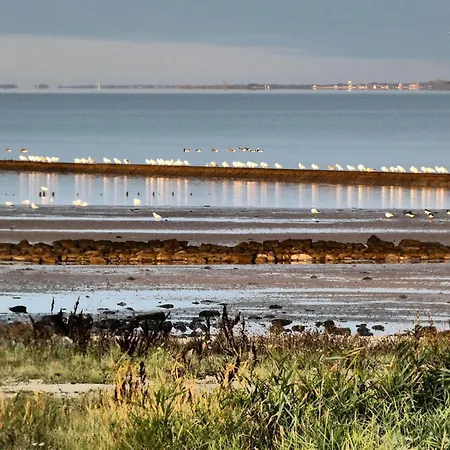 Ferienappartment Wangerooge - Insel Auf Dem Festland Daire *