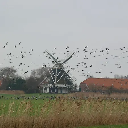 Ferienappartment Wangerooge - Insel Auf Dem Festland Daire